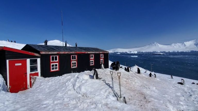 The women who run Antarctica’s ‘penguin post office’