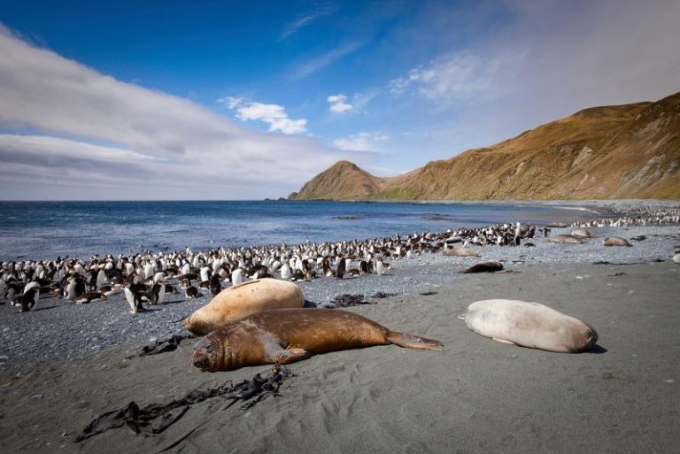 Australia to triple size of protected marine park to area larger than Germany