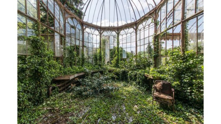 ‘The World Without Us’: The abandoned sites overrun by nature