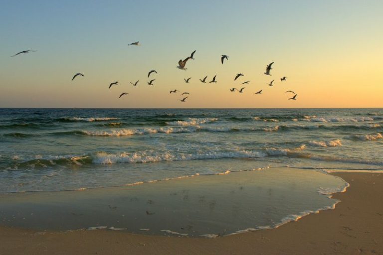 The top 10 US beaches for 2023