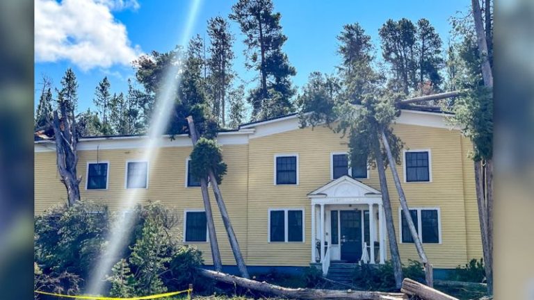 A windstorm at Yellowstone National Park downed hundreds of trees and damaged multiple buildings and cars