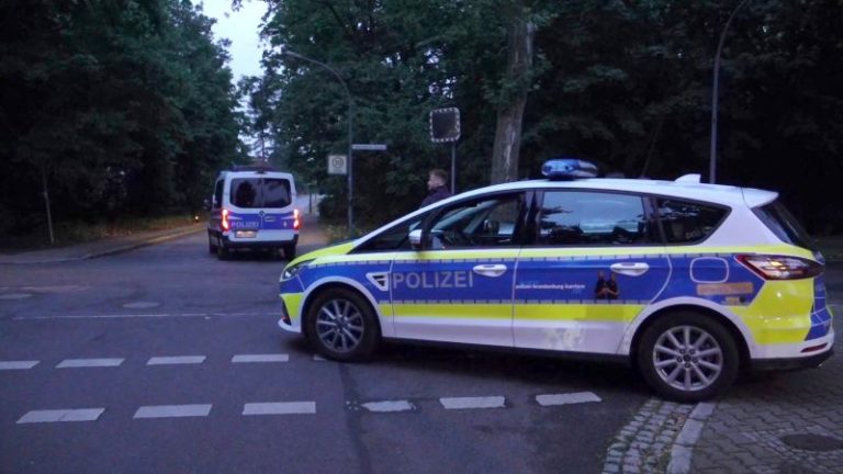 Germany warns of suspected lioness on the loose in Berlin