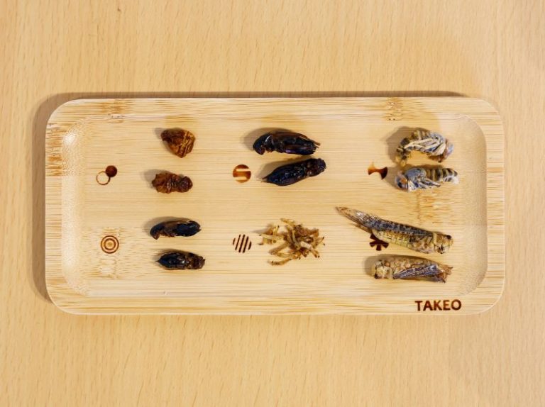 Tokyo’s insect restaurant brings water bug cider to the table