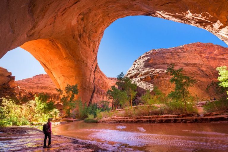 US national parks are crowded – and so are many national forests, wildlife refuges, battlefields and seashores