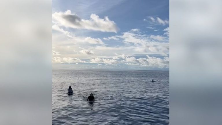 Australian surfers ‘stoked to be alive’ as they heap praise on Indonesia rescuers