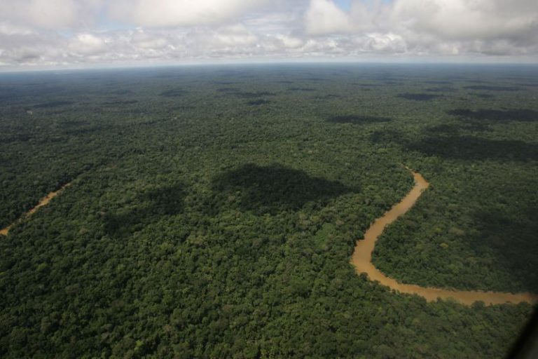 Ecuador votes in historic referendum on oil extraction in the Amazon