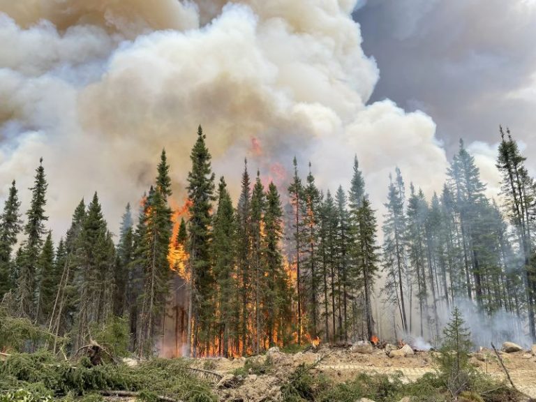 Weather that drove eastern Canada’s devastating wildfires made twice as likely by climate change