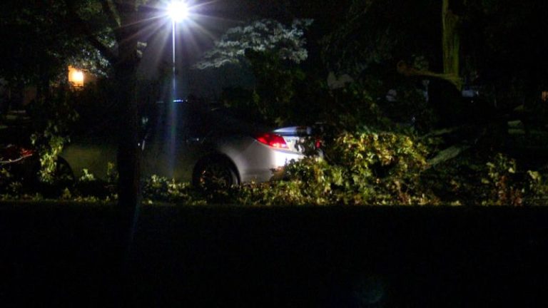 At least five killed in severe storms in Michigan
