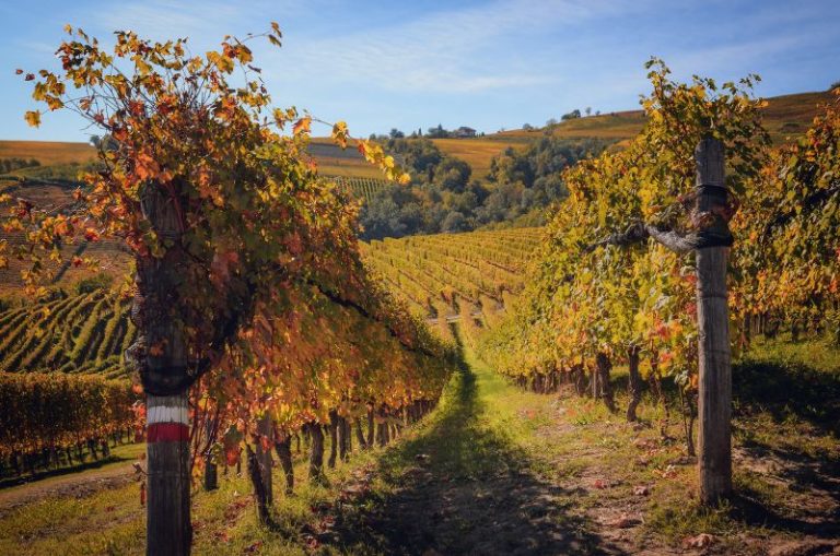 Summer is nice, but fall is better — for travel