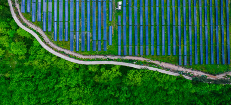 What are ESG stocks? And how to invest?