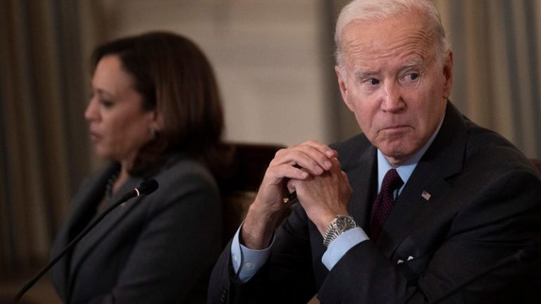Democrat concerns about Biden’s age, Harris’ poll numbers mounting in recent weeks: ‘Painful to say’