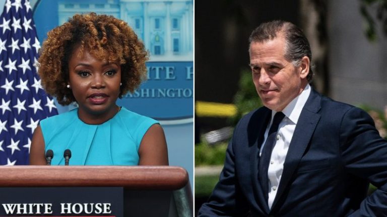 WATCH: White House addresses possibility of pardoning Hunter Biden for first time since federal indictment