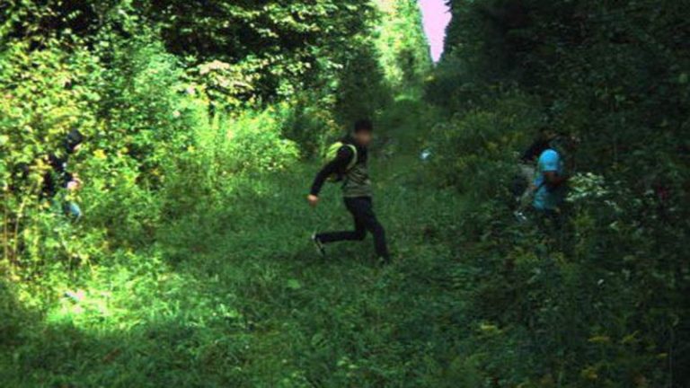 Northern border sees migrant surge from dozens of countries; more than last 10 years combined