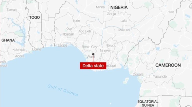 Nigeria’s paramilitary raids birthday party, arrests 76 gay people