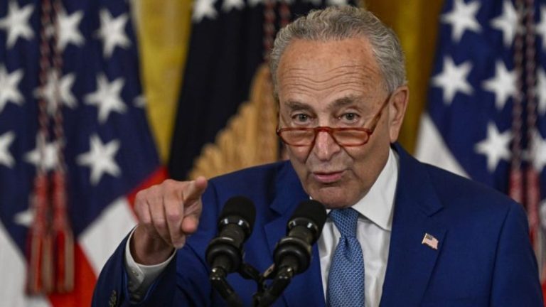Schumer responds to calls for Trump to be speaker of House: ‘No thanks, we’re good’