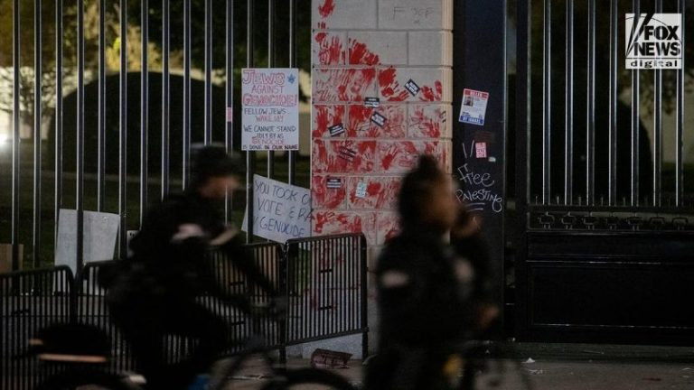 Pro-Palestinian protesters seen shaking White House gate vandalized with red paint: ‘F–k Joe Biden’