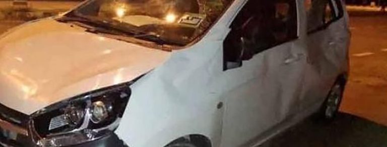 Elephant herd tramples car after baby struck along Malaysian highway