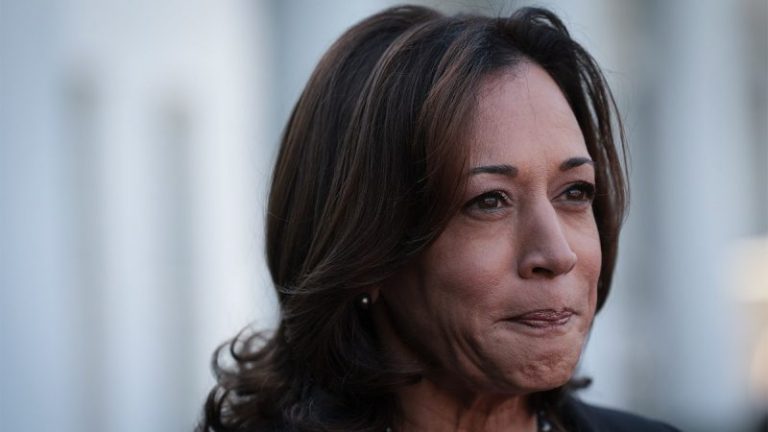 VP Harris says she and Biden ‘obviously have a lot of work to do’ to win re-election in 2024