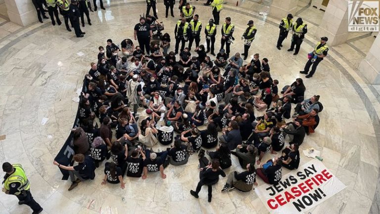 Soros’ foundation funds nonprofit that finances pro-Palestine protests: Watchdog group