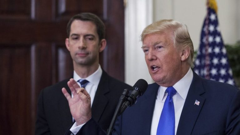 Cotton endorses Trump, says ‘everything has gone to hell’ under Biden