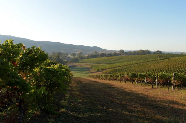 China lifts penalties on Australian wine after more than three devastating years